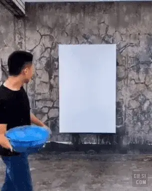 1000067755.gif