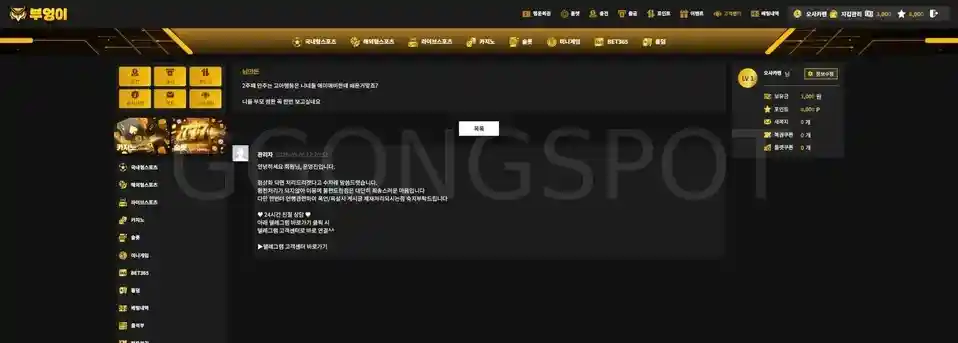 부엉이 48만 먹 (3)