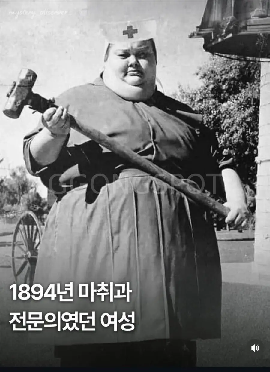 17858873004790.jpeg